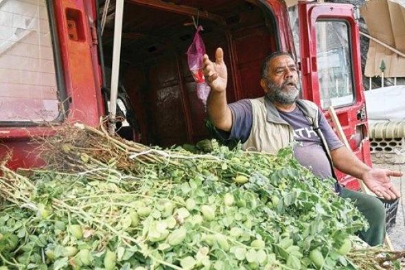 رئيس الوزراء المصري: حريصون على دعم لبنان