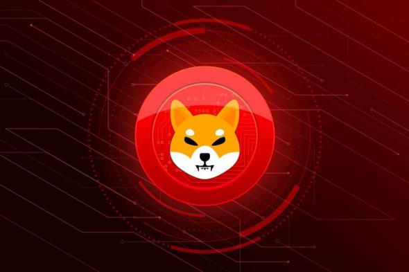 تمكن متداول للعملة الرقمية Shiba Inu (SHIB) من تحويل 3 ألاف دولار إلى 1.24 مليون دولار