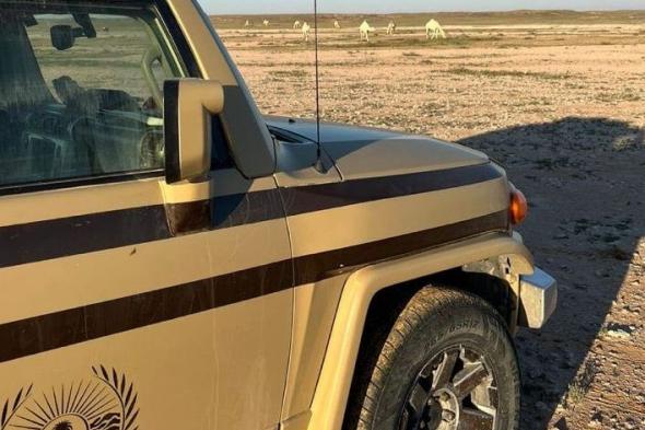 السعودية | ضبط مقيم مخالف لنظام البيئة لارتكابه مخالفة رعي في محمية الملك سلمان الملكية