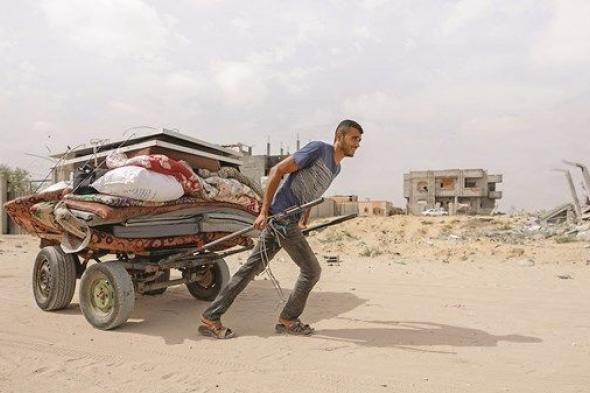 جهود مصرية مكثفة لاستئناف التفاوض حول الهدنة في غزة