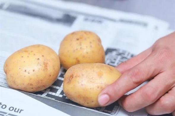 أفضل طريقة لتخزين البطاطس.. حيلة ذكية تحفظها طازجة فترة طويلة