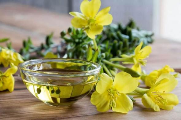 زيت زهرة الربيع يمكن أن يمنحك بشرة متوهجة .. الفوائد وطريقة الاستخدام