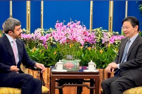 الامارات | عبدالله بن زايد يلتقي رئيس وزراء سنغافورة