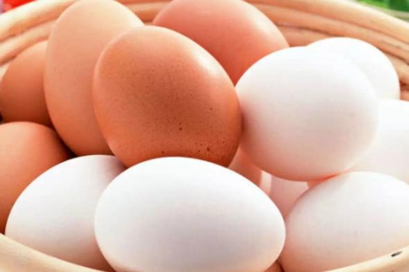 الامارات | كم بيضة مسموح تناولها في اليوم؟