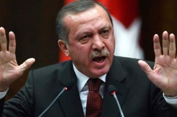 أردوغان يلتقي أوزيل مجدداً وسط جدل الانتخابات المبكرة والخطوط الحمراء