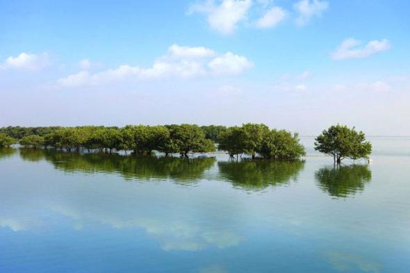 الامارات | رئيس الدولة اطلع على المشروع.. إدراج 9 مواقع مهمة للتنوع البيولوجي عالمياً في الإمارات