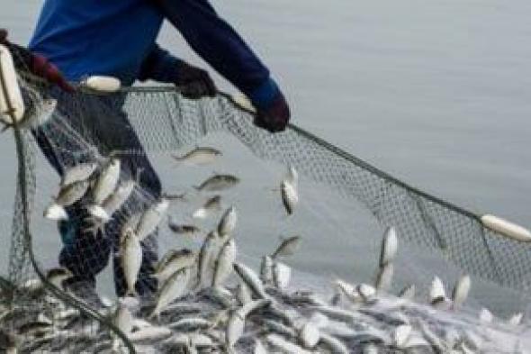 منظمة التجارة العالمية تشدد على دخول اتفاقية مصايد الأسماك حيز التنفيذ