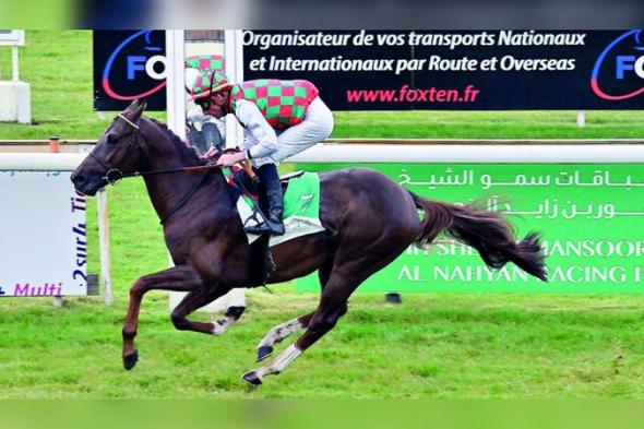 الامارات | 10 خيول تتنافس على كأس الوثبة في فرنسا