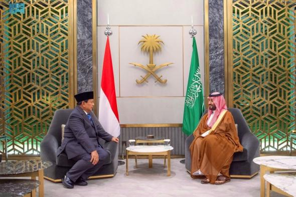 ولي العهد يبحث الأوضاع الإقليمية والدولية مع الرئيس الإندونيسي
