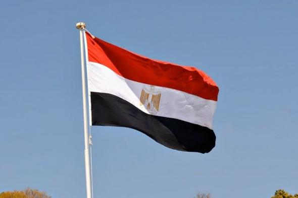 مصر تسدد 15.5 مليار دولار فوائد وأقساط ديون خارجية