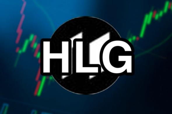 انخفاض حاد بنسبة 80% في قيمة العملة الرقمية HLG لهذا السبب!