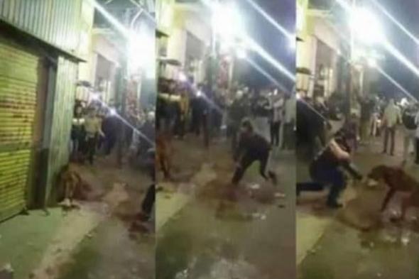 أمن القاهرة يكشف ملابسات فيديو تعذيب عاطل لكلب