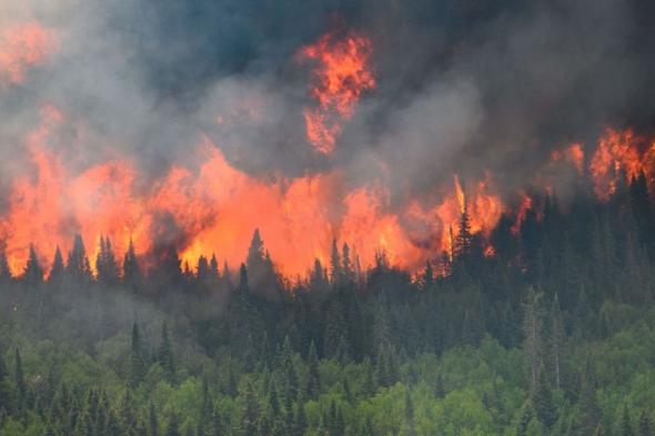 اليونان تكافح حرائق غابات "بالعمد".. وحالة تأهب بسبب الحرارة المرتفعة