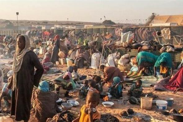 مجلس السلم والأمن الإفريقى يدين استمرار الحرب فى السودان