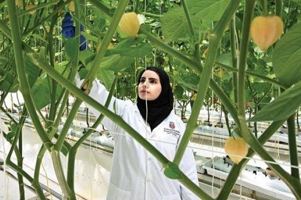 كوادر إماراتية تدير 3 محطات للأبحاث الزراعية في أبوظبي