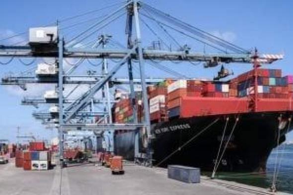 ميناء دمياط يستقبل 40 ألفا و238 طن بضائع عامة بينها 6682 طن قمح