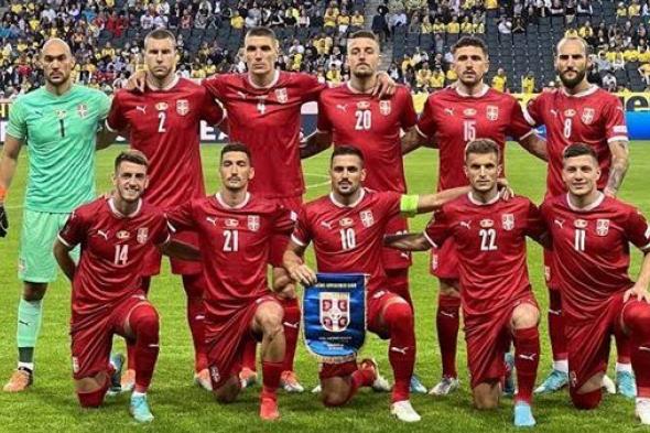 صربيا تتعادل سلبيًا مع الدنمارك وتودع بطولة اليورو