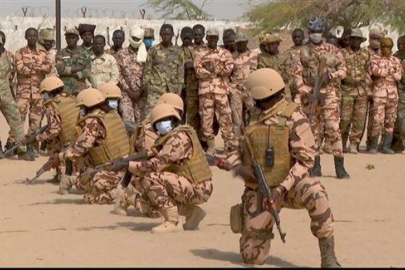 جيش تشاد يعلن تصفية 70 إرهابيا ينتمون لجماعة "بوكو حرام"