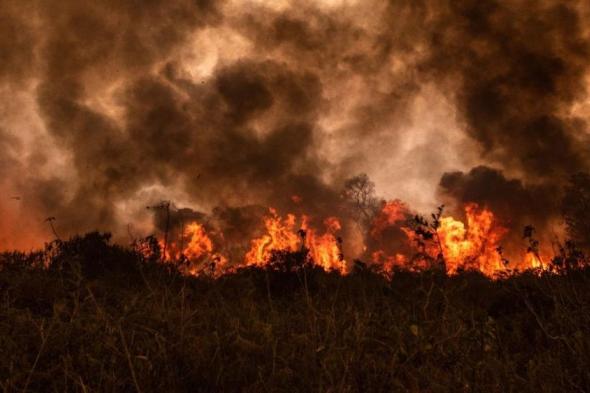 البرازيل.. "بانتانال" تضرب الأرقام القياسية في حرائق الغابات