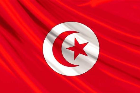 التجارة التونسية: 650 مليون دولار قيمة التبادل التجاري مع دول إفريقيا جنوب الصحراء