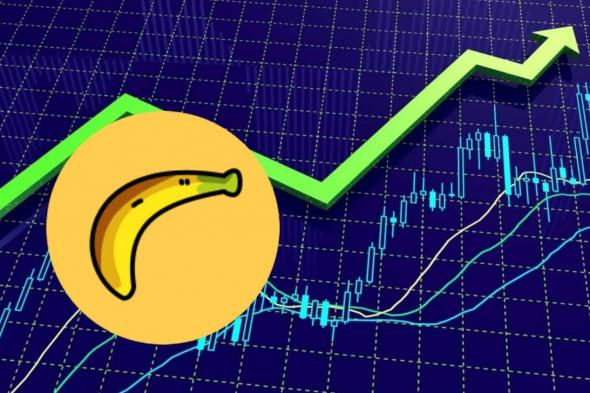 تحركات المحافظ الرقمية الكبيرة المتعلقة بالعملة الرقمية BANANA تثير حفيظة مجتمع الكريبتو!