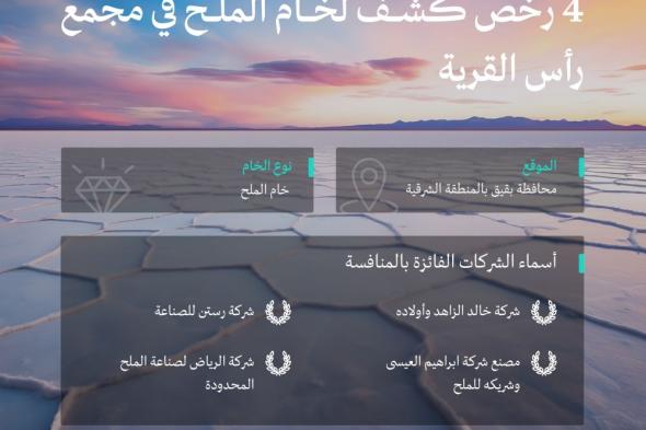 4 شركات تفوز في منافسة رخص كشف خام الملح بالشرقية