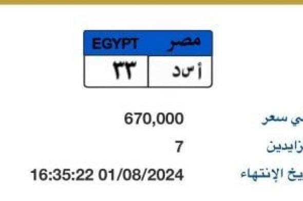 سعر لوحة سيارة "أ س د- 33" المميزة يصل لـ670 ألف جنيه.. و7 يزايدون عليها