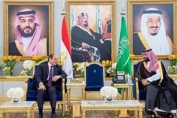 الرئيس السيسي وولي العهد السعودي يؤكدان على ضرورة وقف إطلاق النار في غزة