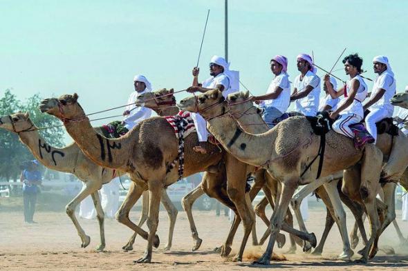 الامارات | برنامج «الأصايل» يعرض أسرار رياضة الهجن عبر «دبي ريسينغ»