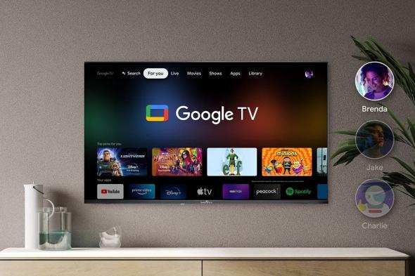 تكنولوجيا: ‏Google TV يقوم بتوسيع عروض القنوات المجانية من خلال FreePlay