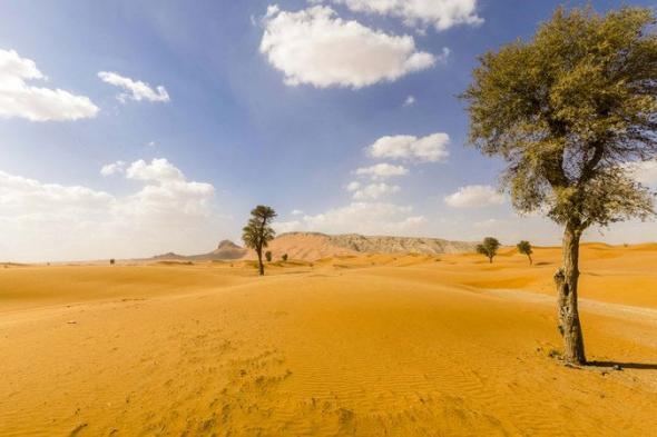 الامارات | "فلكية جدة": اليوم نهاية فصل الصيف