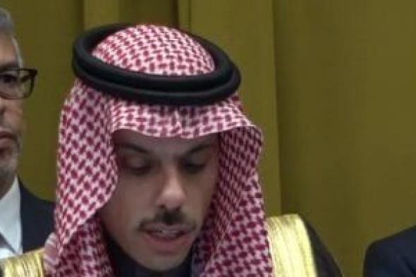 السعودية والجزائر تؤكدان أهمية وقف الانتهاكات الإسرائيلية ضد الشعب الفلسطينى