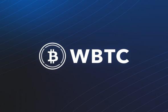 ما هو وضع البيتكوين المغلف (Wbtc) ؟ وماهي أبرز الفرص والتحديات التي يواجهها؟